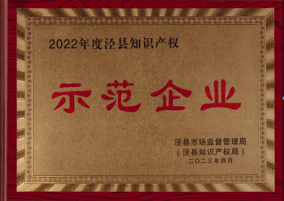 2023年泾县知识产权示范企业